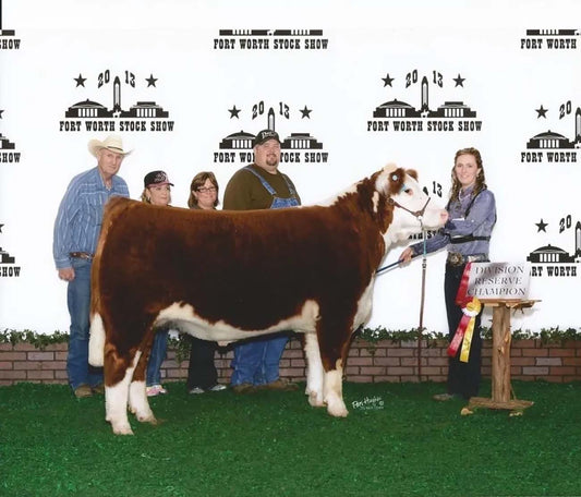 2013 FWSSR Steer Show