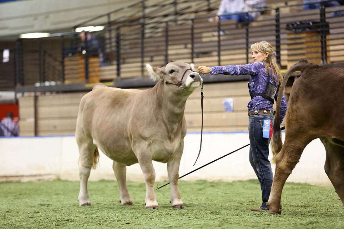 2014 American Royal