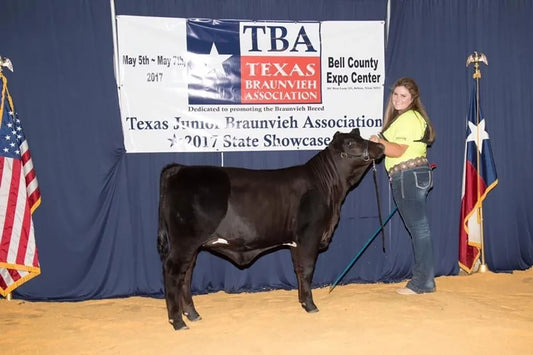 2017 Texas Jr Braunvieh Show