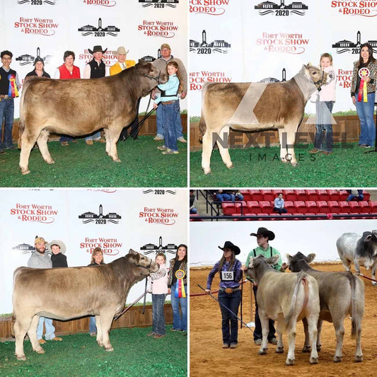 2020 Fort Worth Stock Show